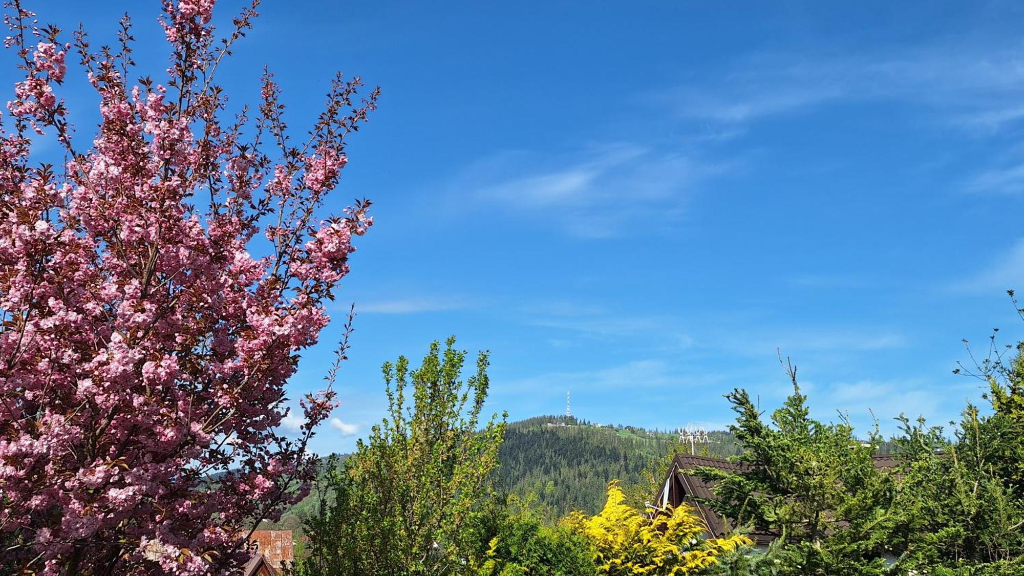 Apartament Na Brzyzku, Zakopane